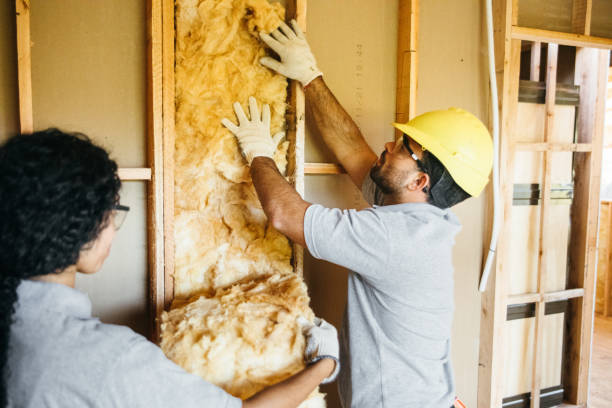 Best Cellulose Insulation  in Pottsville, PA